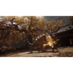 Black Myth: Wukong PS5 - Image 4